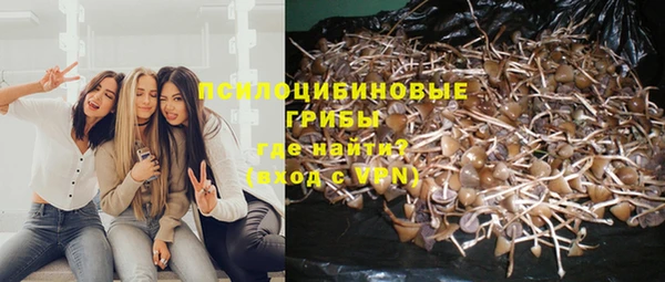 герыч Фурманов