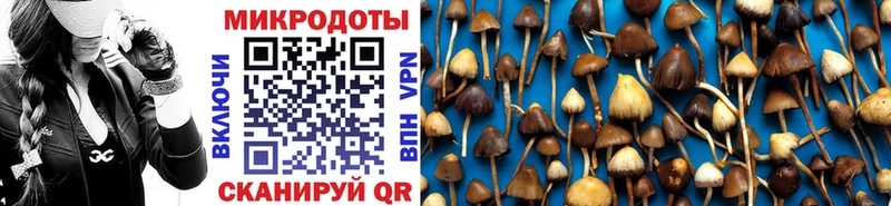 купить  сайты  кракен зеркало  Псилоцибиновые грибы Psilocybine cubensis  Яблоновский 